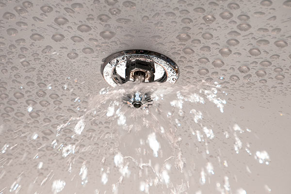 How Fire Sprinkler Systems Work and the Main Types Available